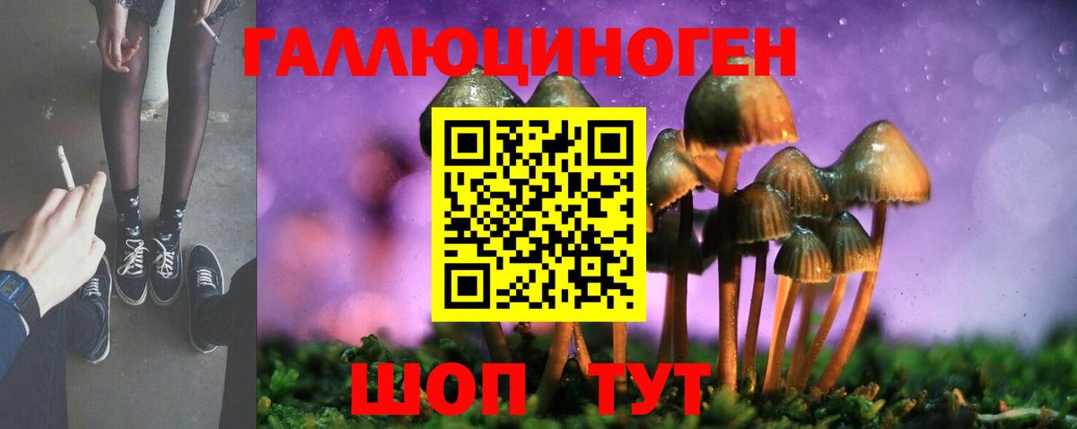 Новокубанск  Галлюциногенные грибы MAGIC MUSHROOMS  Псилоцибиновые грибы Psilocybe  Вход с VPN 